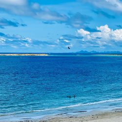 WhatsApp Image 2025-11-17 at 13.42.0355