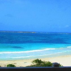 WhatsApp Image 2025-11-17 at 345345345