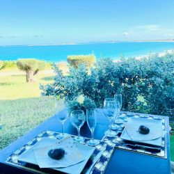 WhatsApp Image 2026-01-16 at 00.30.08