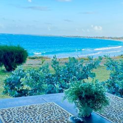 WhatsApp Image 2026-01-16 at 00.30.09 (1)