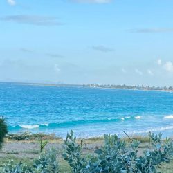 WhatsApp Image 2026-01-16 at 00.30.09