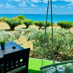 WhatsApp Image 2026-01-16 at 00.30.10