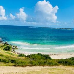 WhatsApp Image 2026-01-16 at 12.12.19