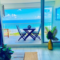 WhatsApp Image 2026-01-16 at 12.12.23