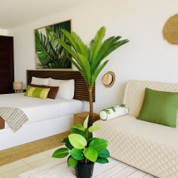 WhatsApp Image 2026-01-16 at 12.12.29