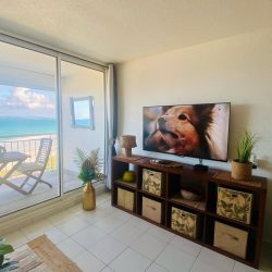 WhatsApp Image 2026-01-16 at 12.12.30