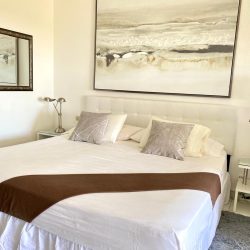 WhatsApp Image 2026-01-16 at 12.22.40 (1)