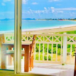 WhatsApp Image 2026-01-16 at 12.22.40 (8)