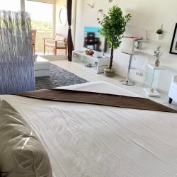 WhatsApp Image 2026-01-16 at 12.22.41 (1)